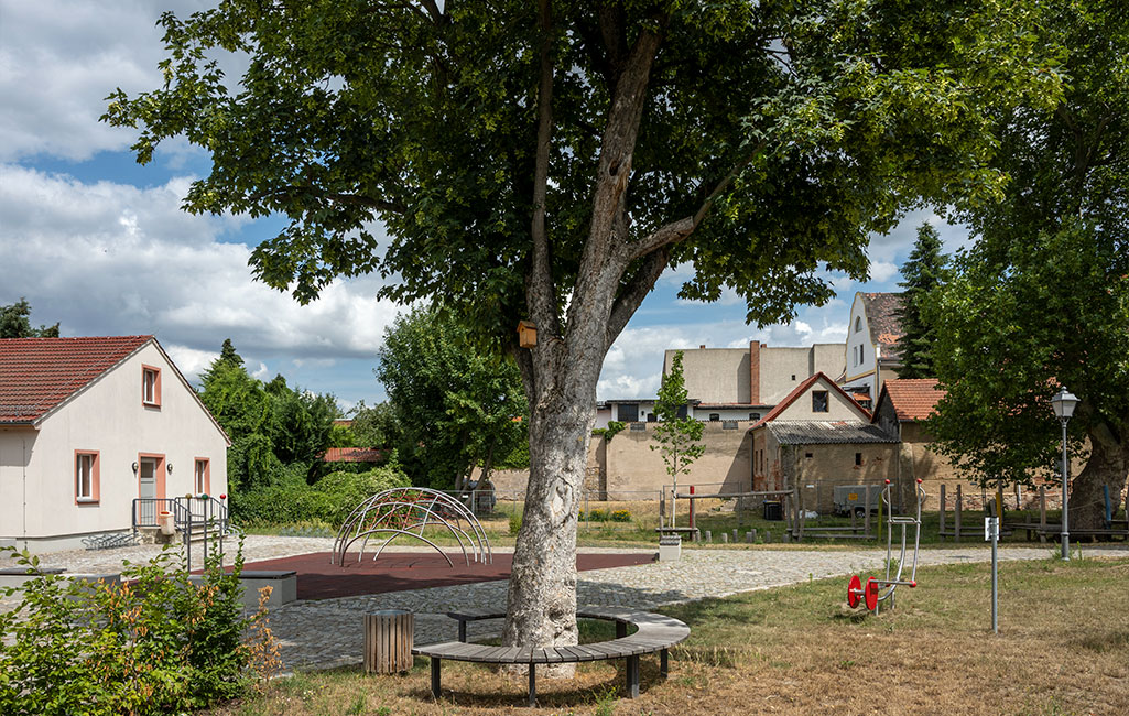 Ein schattiger Platz und einem großen Baum mit Sitzbank und Sport- und Turngeräten.
